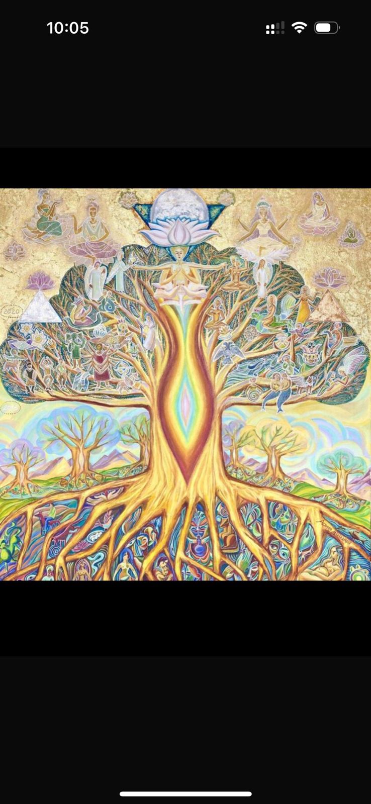 Dancing Colors on a Summer Breeze